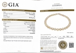 11-13mm Golden South Sea Pearl Necklace - GIA Certified - Secondary Image